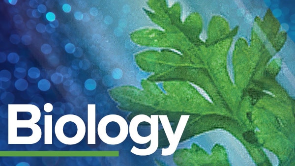 ib生物怎么提高？注意這些學(xué)習(xí)方法！