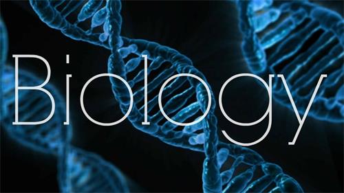 IB生物知識點串聯(lián)，這些要點你要牢記！