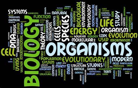 生物IB輔導：如何有技巧的去學習？