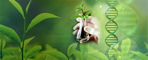 IB生物考試內(nèi)容解析，主要涉及哪些知識(shí)點(diǎn)？